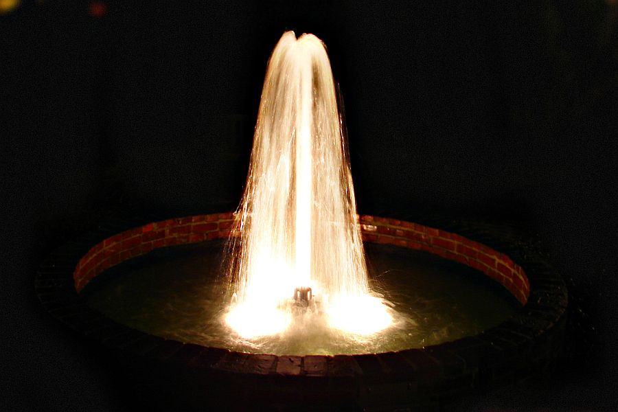 AquaMaster 2 Fixture 11W Cool White Lights for Masters Decorative Series 100'